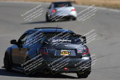 media/Nov-19-2023-Extreme Speed (Sun) [[bd0eec5490]]/Purple/Back Shots/